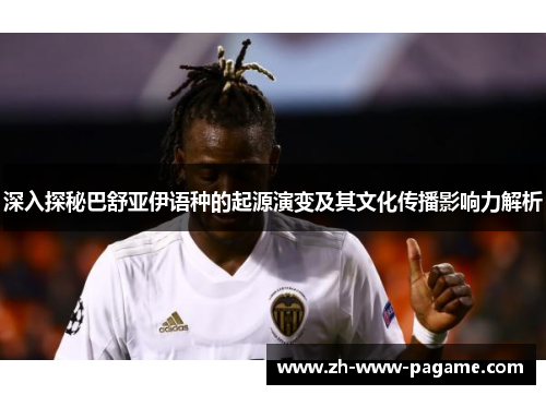 深入探秘巴舒亚伊语种的起源演变及其文化传播影响力解析