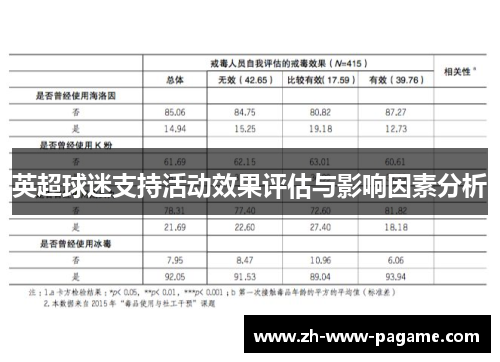 英超球迷支持活动效果评估与影响因素分析