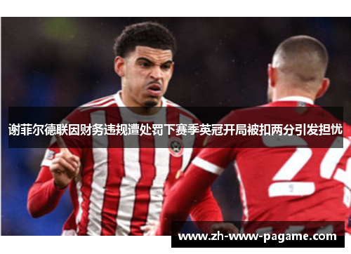 谢菲尔德联因财务违规遭处罚下赛季英冠开局被扣两分引发担忧