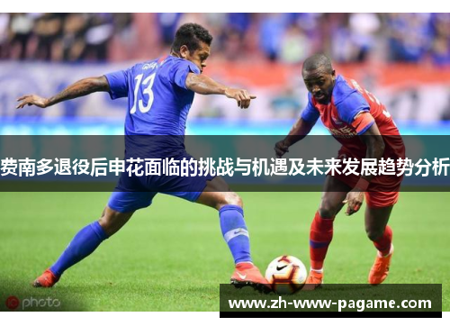 费南多退役后申花面临的挑战与机遇及未来发展趋势分析